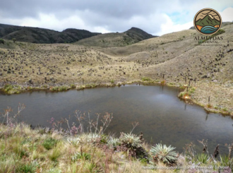 EXPERIENCIA NATURAL+ BIENESTAR