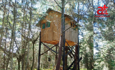 CABAÑA PINARES