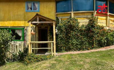 CABAÑA PRIMAVERA