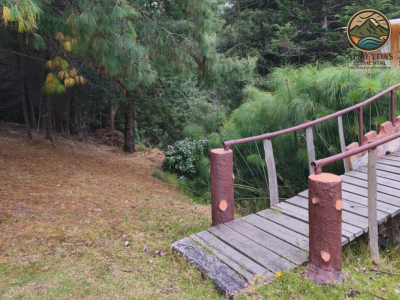 EXPERIENCIA CULTURAL + BIENESTAR