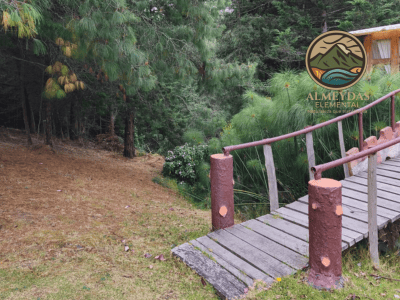  EXPERIENCIA CULTURAL + BIENESTAR