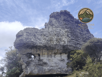 EXPERIENCIA MISTICO ANCESTRAL + BIENESTAR