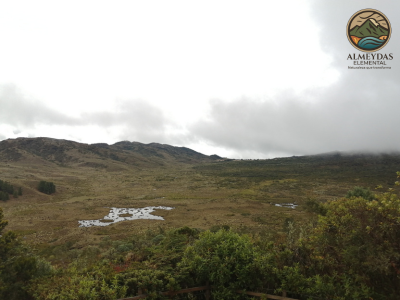 EXPERIENCIA NATURAL+ BIENESTAR