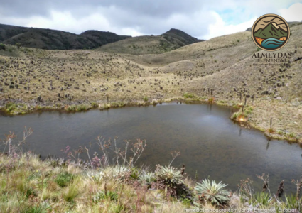 EXPERIENCIA NATURAL+ BIENESTAR
