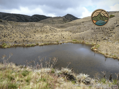 EXPERIENCIA NATURAL+ BIENESTAR