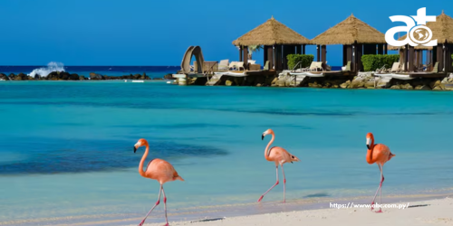 ARUBA