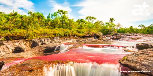 CAÑO CRISTALES